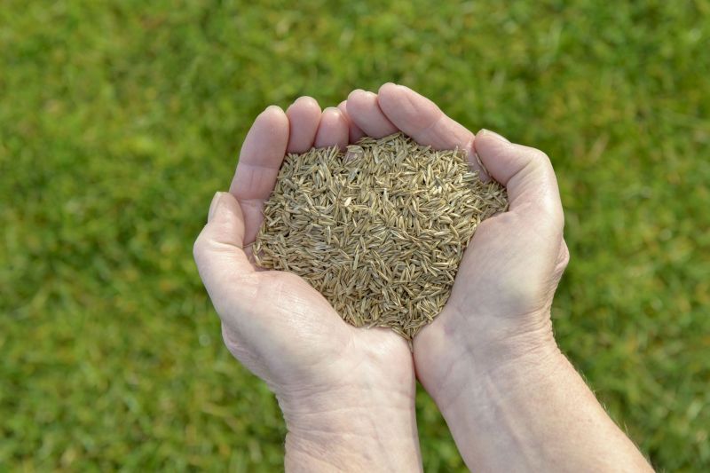 Land Grading Services